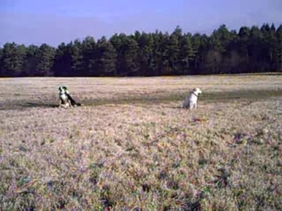 PICT0019