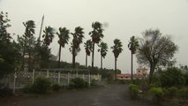 [날씨] 태풍 미탁 자정쯤 전남 해안 상륙...태풍특보 확대 / YTN