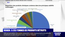 5253 tonnes de produits chimiques ont été détruits lors de l'incendie de l'usine Lubrizol à Rouen