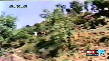 anjuman-jani o mere jani