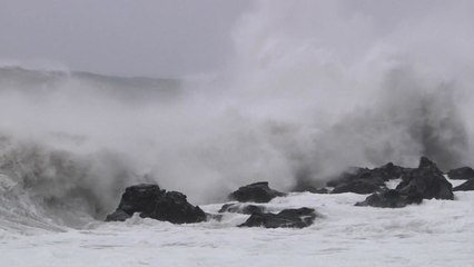 [날씨] 속도 빨라진 태풍... 밤 10시 전남 해안 상륙 / YTN