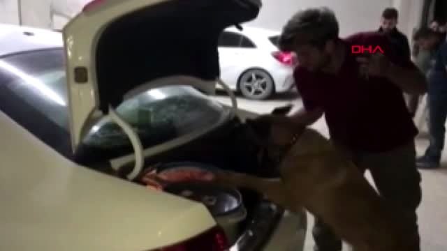 Gelin arabasının içinden çıkanlar polisi şaşkına çevirdi