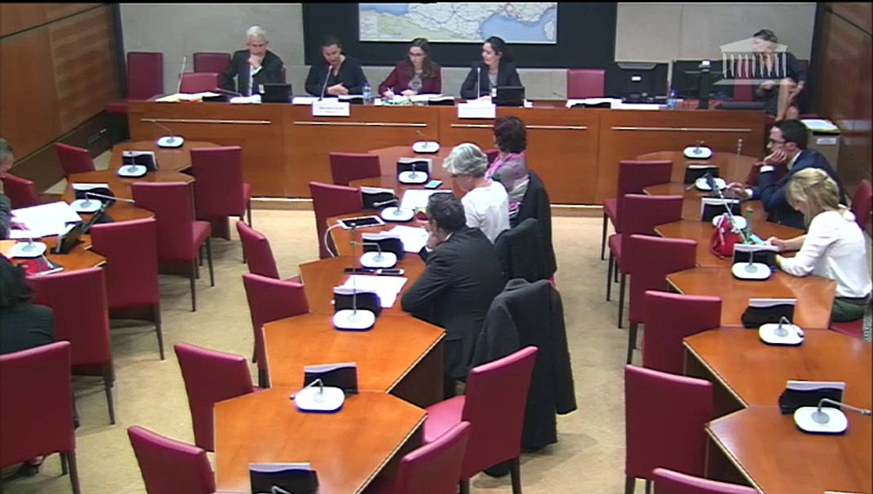 Délégation aux droits des femmes : Proposition de loi relative aux violences au sein des couples et aux incidences de ces dernières sur les enfants et proposition de loi visant à agir contre les violences faites aux femmes - Mardi 1 octobre 2019