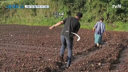 Bㅣ교불가! B급 농산물만 찾아다니는 미슐랭 출신 셰프의 사연