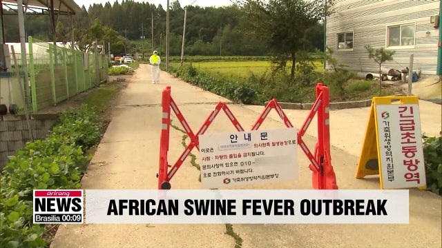 S. Korea confirms two more cases of African swine fever at pig farms in Paju