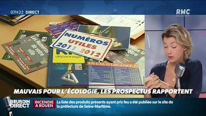 Dupin Quotidien : Mauvais pour l'écologie, les prospectus rapportent - 02/10