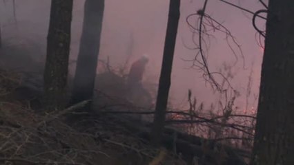 Télécharger la video: Un millón de hectáreas calcinadas por los incendios en Bolivia