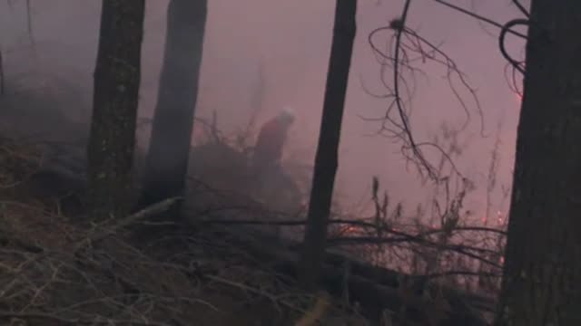 Un millón de hectáreas calcinadas por los incendios en Bolivia