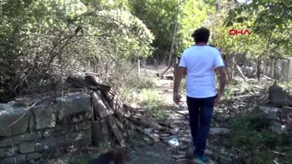 Bartın iki üniversite bitirdi, köyünde keçi beslemeye başladı