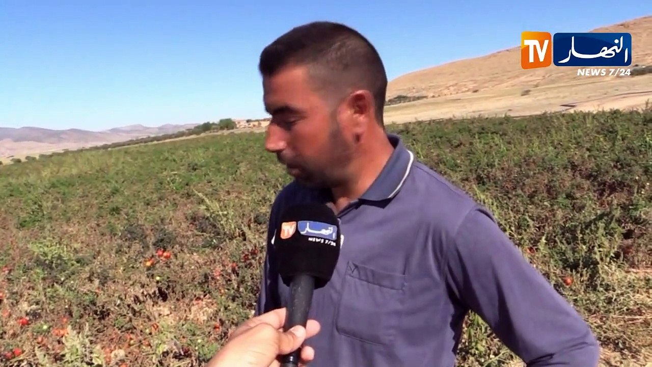 باتنة/ عراقيل عدة ترهن النشاط الفلاحي بقصر بلزمة