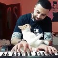 Trop chou ! Ce matou est un vrai pot de colle; son maître veut jouer au piano, mais lui en a décidé autrement