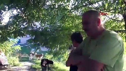 Emekli çift tüm birikimlerini sokak köpekleri için harcıyor