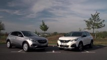 Opel Grandland X vs. Peugeot 3008
