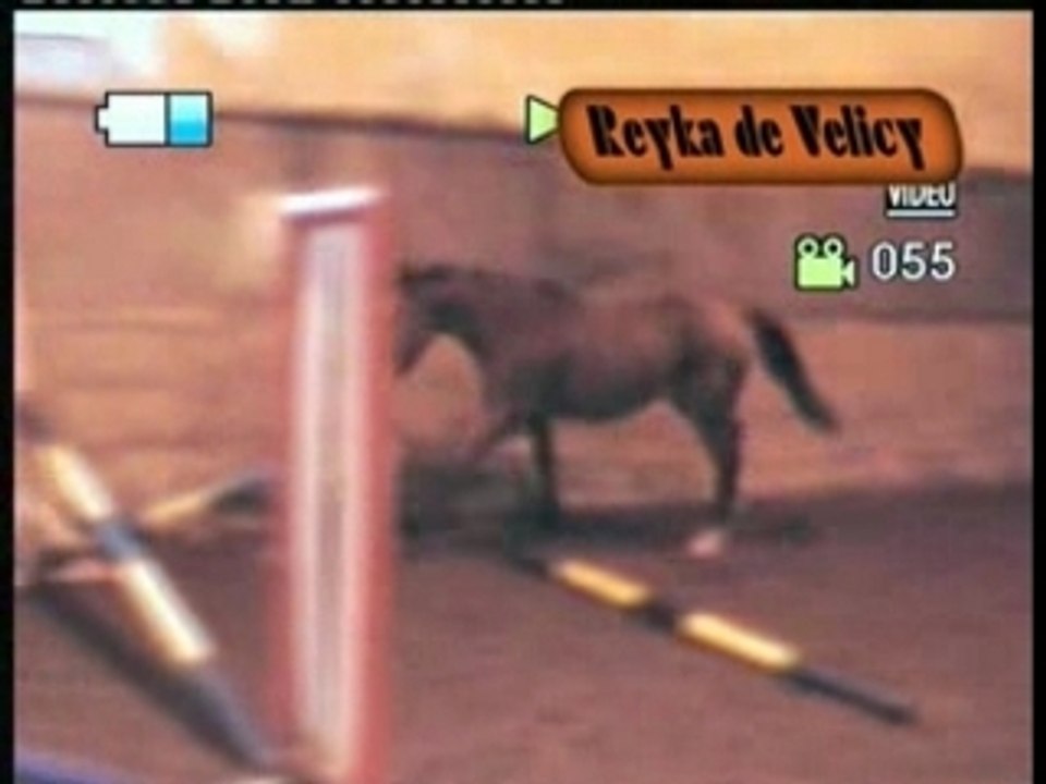 Reyka