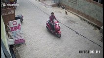 Troop of 'hooligan' monkeys attack three people at street corner in north India