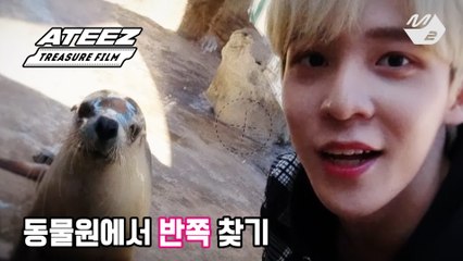 [2회] 동물원이라 쓰고 닮은꼴 맛집이라 읽는다! 에이티즈와 닮은 동물은?!