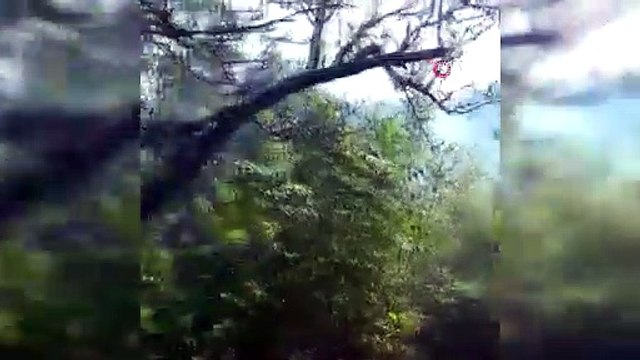 Anadolu Kavağı'nda ormanlık alanda çıkan yangın kontrol altına alındı