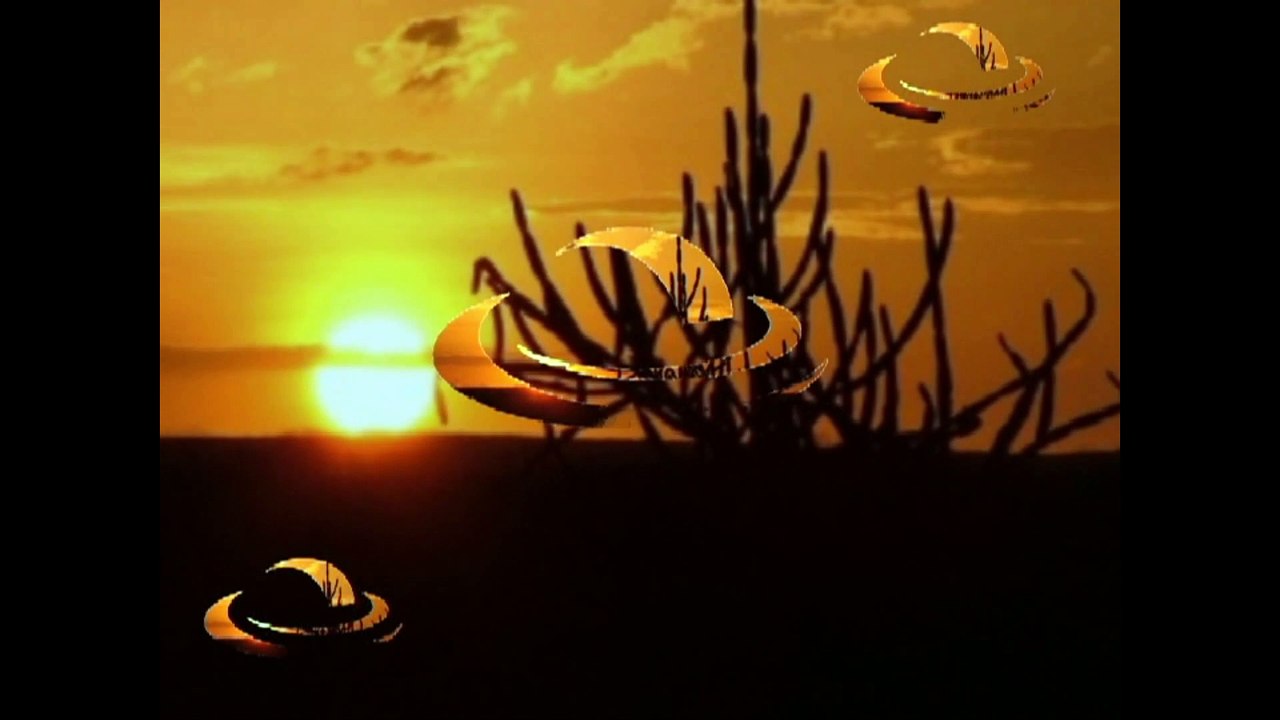 Caso Convap - trailer