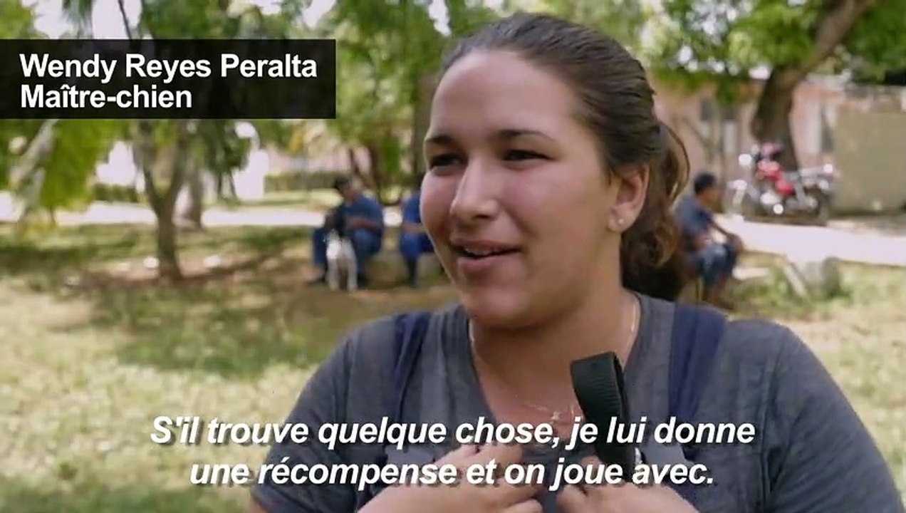 A Cuba, des chiens formés à la française pour r...
