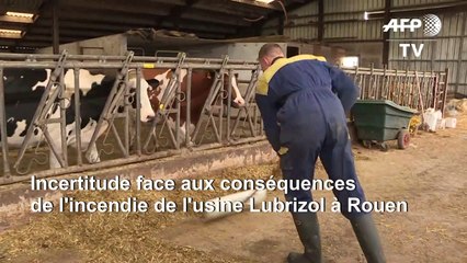 Incendie Lubrizol: dans l'Aisne, l'inquiétude d'un éleveur touché par la pollution