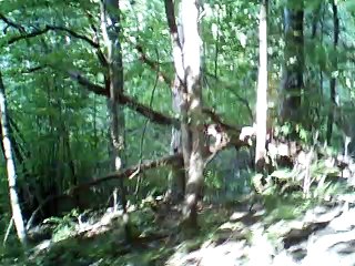 Sliczny Chlopiec instrumental no melody