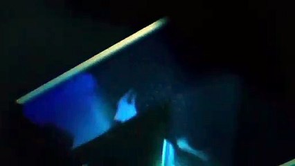 Adobe After Effects Template Plasma Audio React Logo