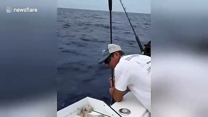 Bizarre fish with HUGE eyes caught in Bahamas