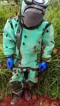 Il déterre un nid de frelons monstrueux !