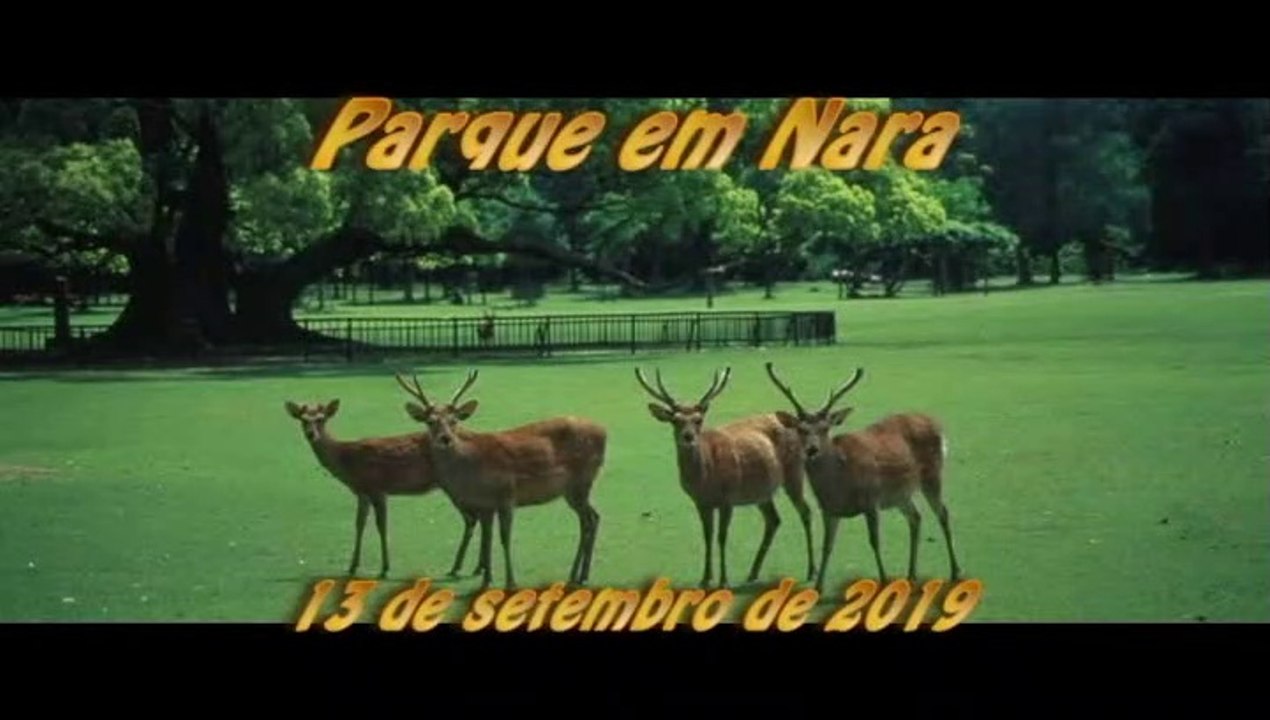 Parque em Nara - 13 de setembro de 2019