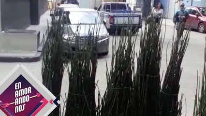 ¡Amalinali fue captada con Emilio, ex novio de Keylin! | Enamorándonos