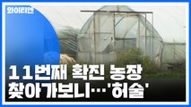 '구멍 숭숭' 방역 대책...아프리카돼지열병 확산 못막나? / YTN