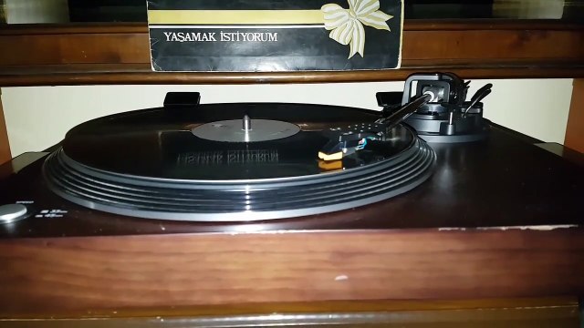 Bülent Ersoy - Yaranamadım (Plak kayıt)