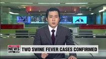 S. Korea confirms two new cases of African swine fever in Paju and Gimpo