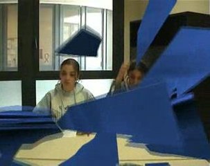 Les effets de l'abus d'alcool - 2 (2005)