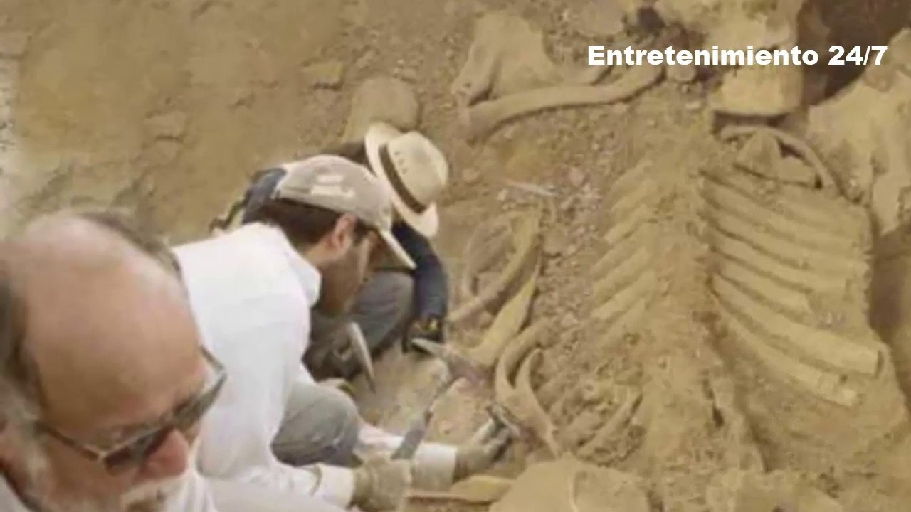 Esqueleto gigante encontrado en Bulgaria