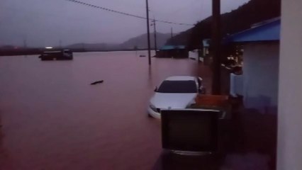 울진 시간당 강수량 104.5mm...관측 이래 최고치 기록 / YTN