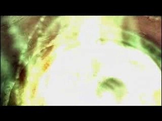 LP Fahrenheit - Internet Ending