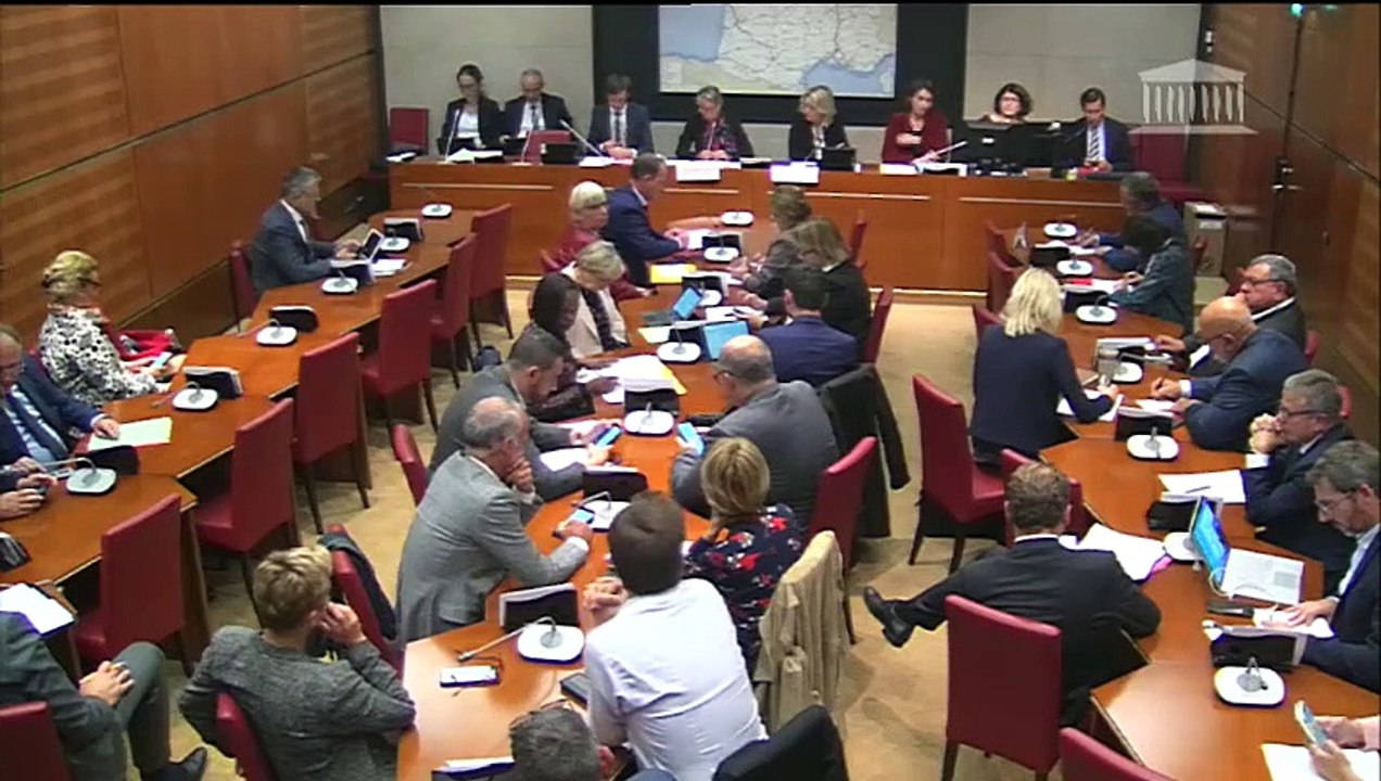 Commission du développement durable : Mme Elisabeth Borne, ministre de la transition écologique et solidaire, sur l’incendie de l’usine Lubrizol à Rouen - Mercredi 2 octobre 2019