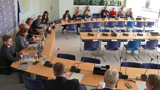 Commission des affaires européennes : L’évaluation de la gestion des fonds structurels européens par les régions françaises - Mercredi 2 octobre 2019