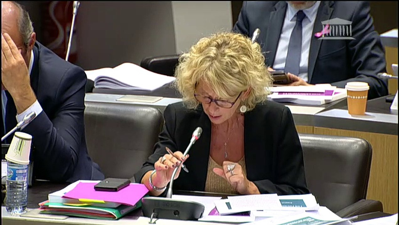 Commission des finances, Commission des lois et Délégation aux collectivités territoriales : M. Didier Migaud, Premier président de la Cour des comptes - Mercredi 2 octobre 2019