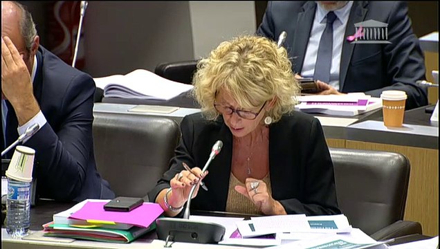 Commission des finances, Commission des lois et Délégation aux collectivités territoriales : M. Didier Migaud, Premier président de la Cour des comptes - Mercredi 2 octobre 2019