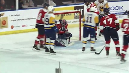 Highlights: Blades (3) at Hurricanes (2)