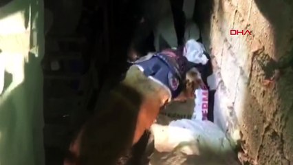 331 kilo eroin ele geçirildi