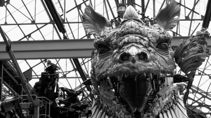 Sciences - Le dragon de Calais