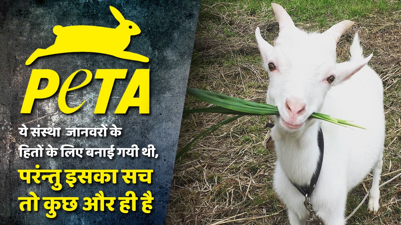 Ethical or Unethical ? You decide !