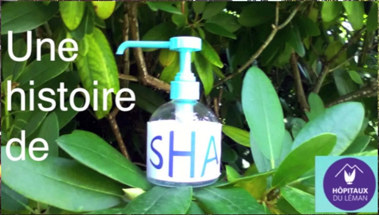 Une histoire de SHA