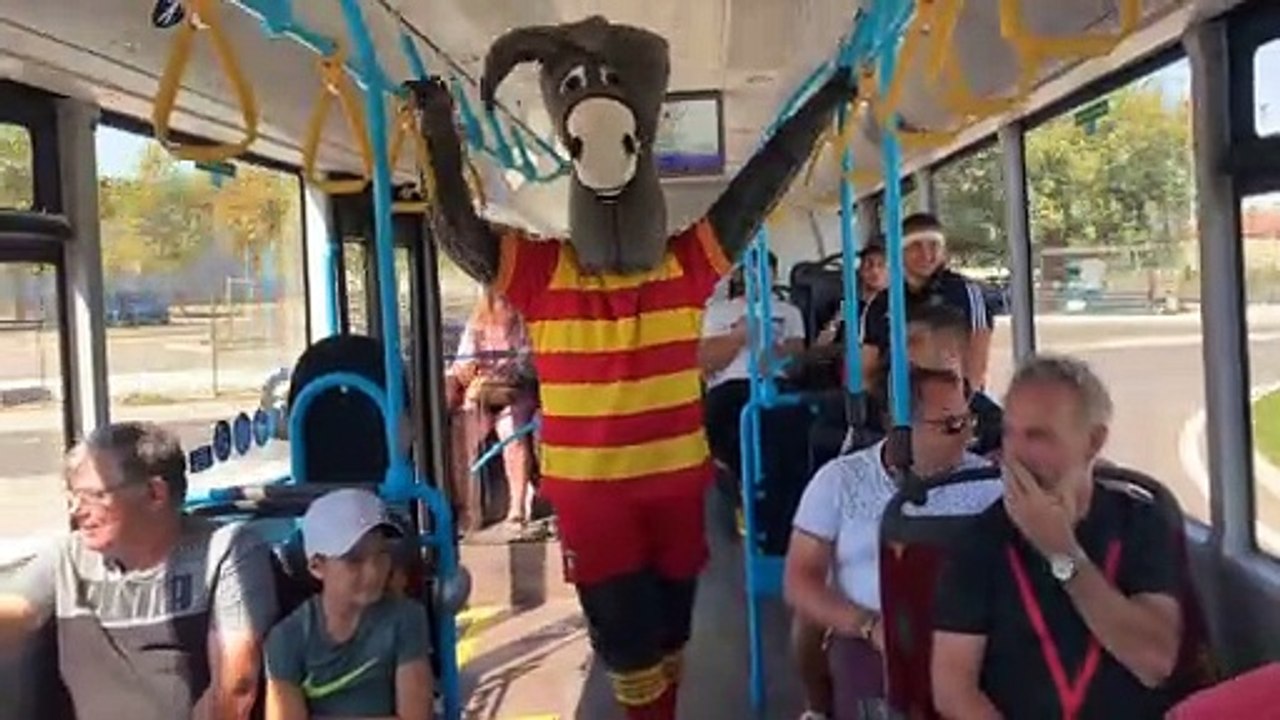 LES NAVETTES JOUR DE MATCH