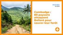 Cambodge : 80 paysans attaquent Bolloré pour sauver leur forêt
