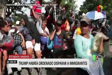 Trump negó haber mandado enviar serpientes o cocodrilos a la frontera