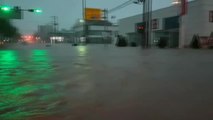 El tifón Mitag deja a su paso cuatro fallecidos en Corea del Sur